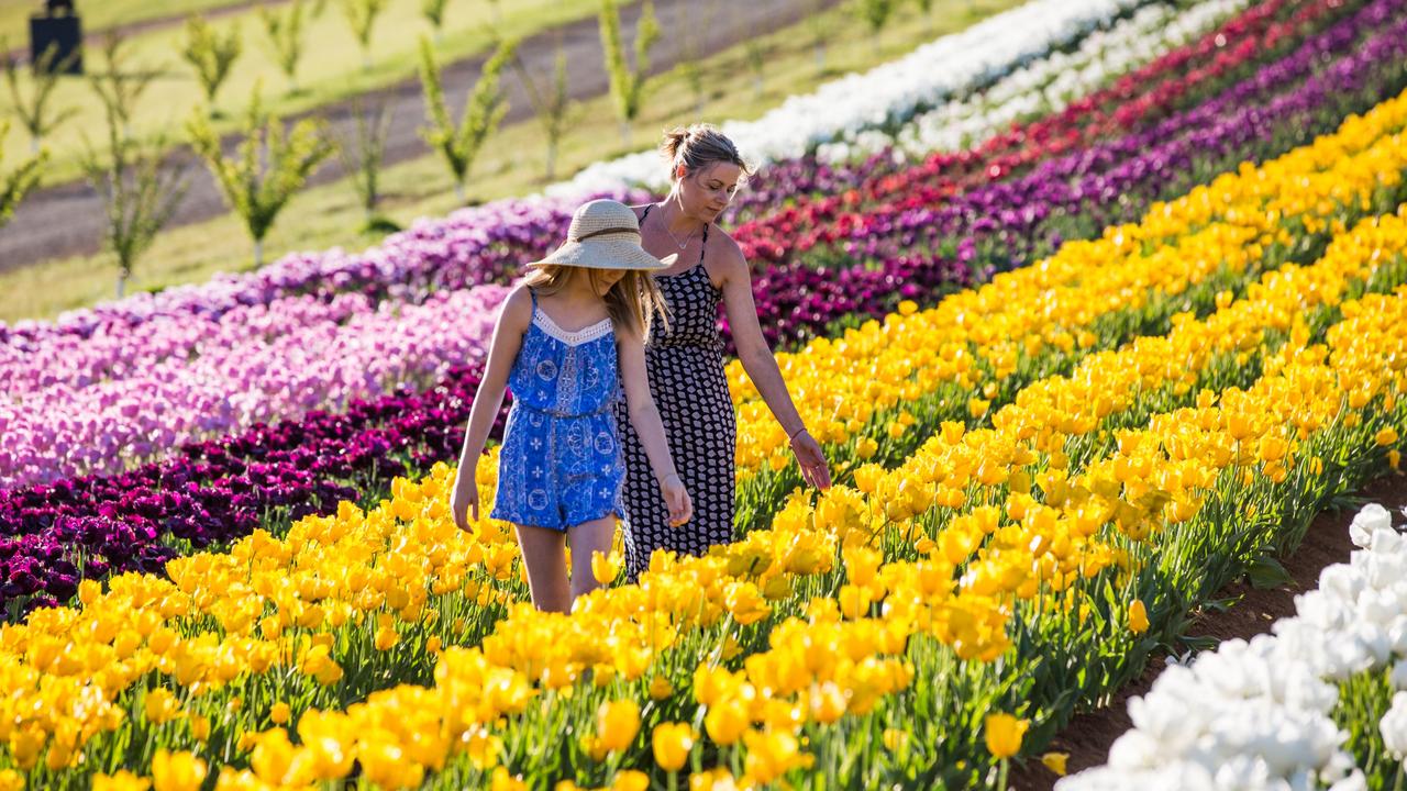 places to visit victoria in spring