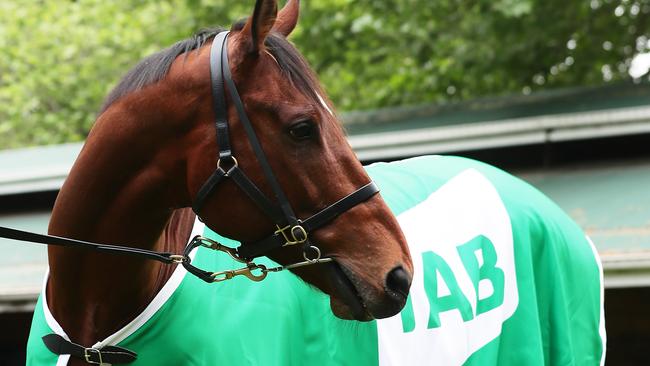 Santa Ana Lane is the favourite for The Everest. Picture: Getty Images