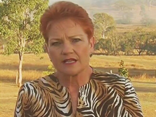 ‘Where’s the money coming from?’ ... Pauline Hanson has stirred the pot again.