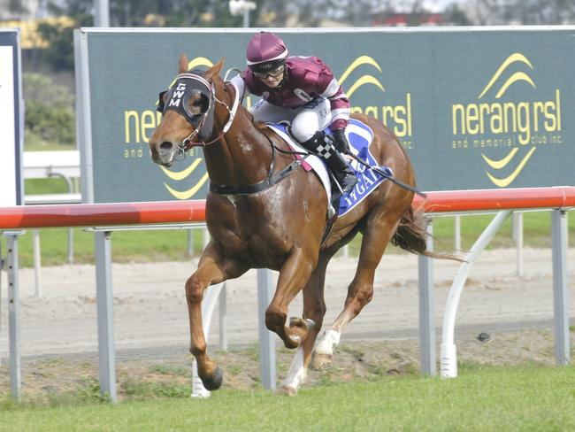 Jockey Brooke Ainsworth rode the Gary Moore-trained Manhattan Justice to victory in the Ramsden Lawyers Julian Barclay Maiden Handicap (1200m) at the Gold Coast on Saturday, October 8. Picture credit: Jessica Hawkins, Trackside Photography.