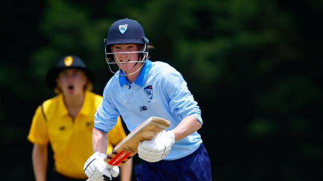 Harry Roscarel in action for Country. Photo: Dylan Burns Photography