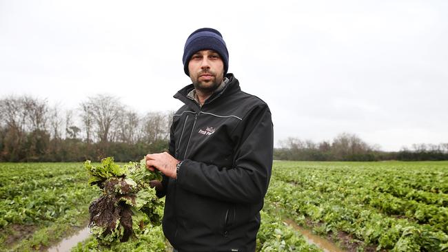 Farmer Matt Vella in his drenched fields of Iceberg Lettuce inspecting the damage of floodwaters. he has lost their entire crop worth between $300,000 and $400,000 in this flood alone as well as everything previously in the last three floods. Picture: Jane Dempster