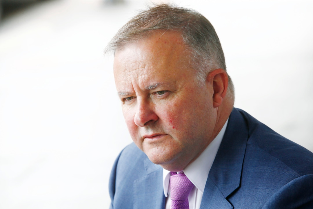 EXCLUSIVE: Albanese defends Labor policy during the pandemic