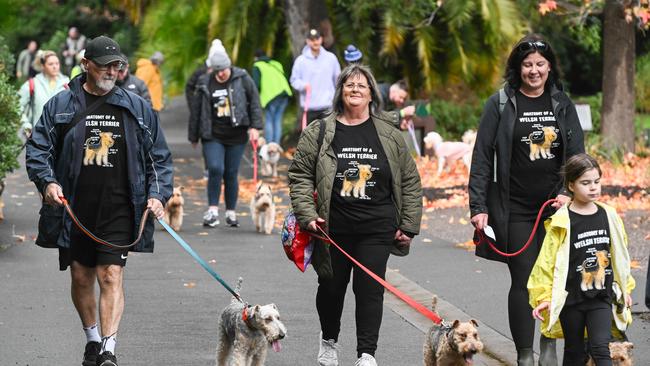 Million Paws Walk at Adelaide Botanic Gardens. Picture: Brenton Edwards