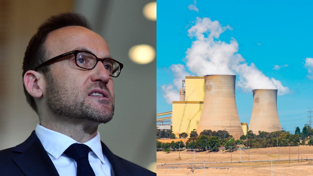 ‘Kamikaze’ Greens will stop coal and gas projects ‘dead’