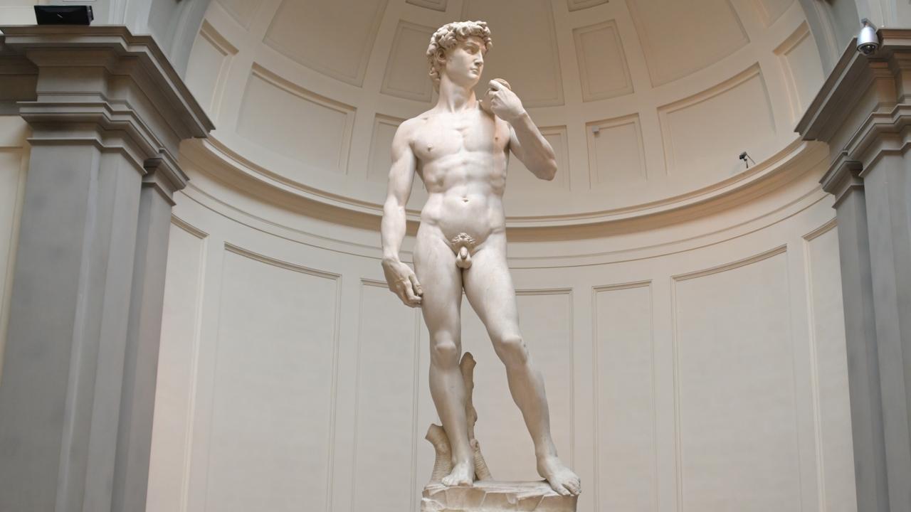 Porn Sculpture - Michaelangelo's statue of naked David 'just like porn' | The Australian