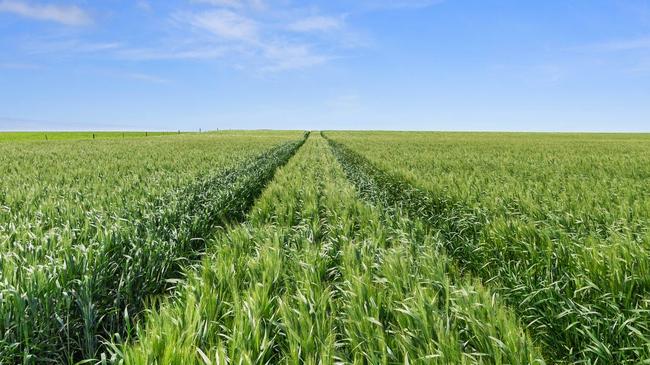 The Longbottom family have sold their three Curramulka cropping farms.