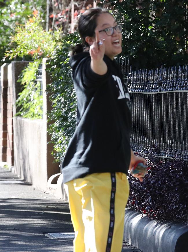 Greens staffer Xiaoran Shi was arrested on Sunday for defacing a Captain Cook statue. Picture: David Swift