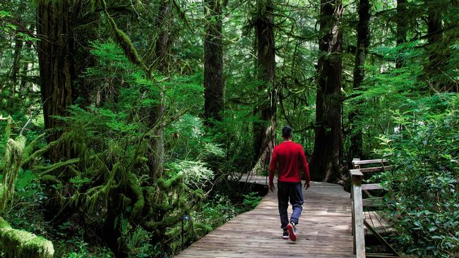 The walkway to the guest tents at the lodge. Picture: Nikki Fenix