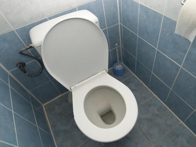 toilet