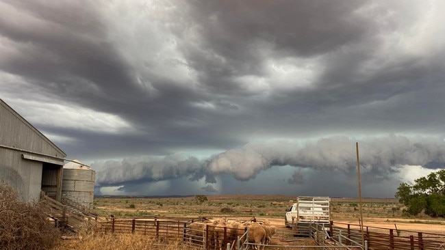 Rain clouds rolling over Parnaroo, near Peterborough on Friday, January 5. Picture: Tim Hagger