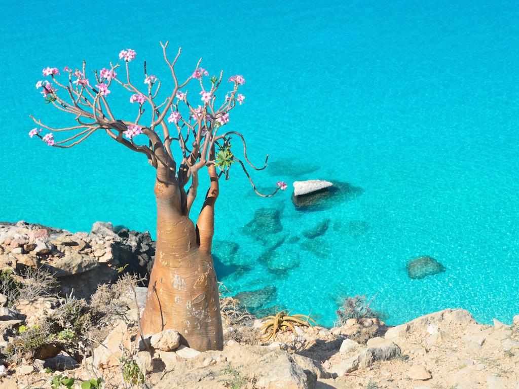 A lagoon in Socotra. Picture: Crooked Compass