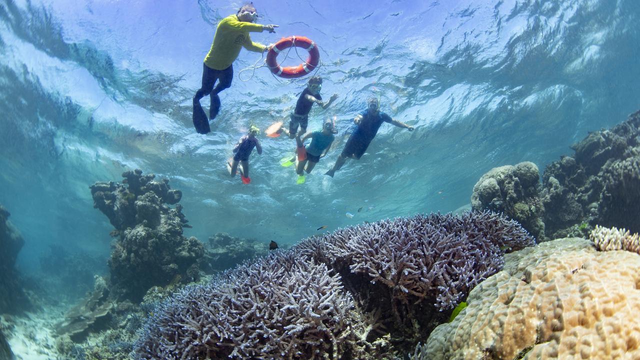 Concerned tour operators and other local businesses are among those concerned by UNESCO’s plan to downgrade the Great Barrier Reef’s listing. Pictured is a Dreamtime Dive & Snorkel tour, Cairns, QLD. Image: supplied.
