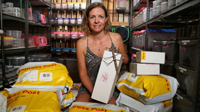 MiniBeast Wildlife co- owner Deanna Henderson with some of the parcels of spiders and insects that they send from Kuranda all over Australia. Picture: Anna Rogers