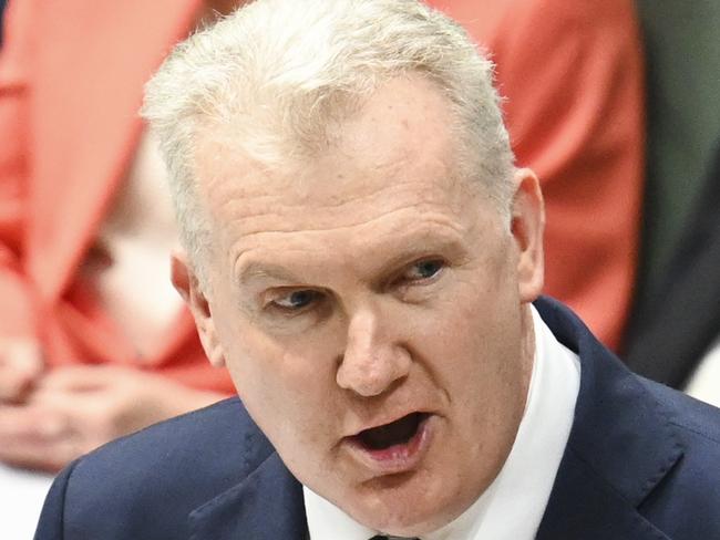 CANBERRA, Australia - NewsWire Photos - October 9, 2024: Minister for Home Affairs and Minister for the Arts, Tony Burke during Question Time at Parliament House in Canberra. Picture: NewsWire / Martin Ollman