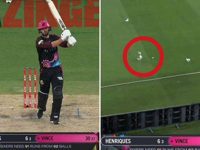 Seagull hit by cricket ball at the MCG.