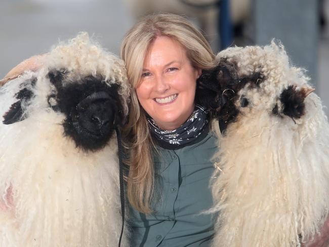 Melbourne Royal Show, Flemington, Kim Biggins, Alpinhorn Valais, Yarra Valley,   Picture Yuri Kouzmin