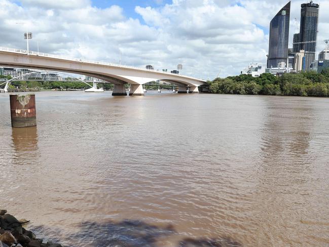 Dead fish on the bank of the Brisbane River at Kangaroo Point. Picture: Liam Kidston