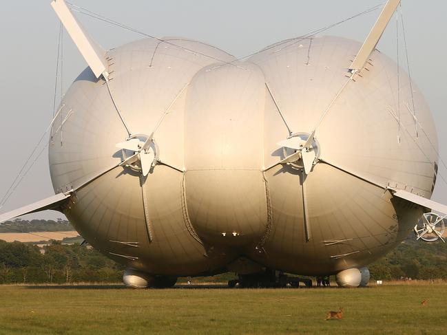 A rabbit runs by as the Hybrid Air Vehicles HAV 304 Airlander 10 hybrid airship taxis ahead of its maiden flight at Cardington Airfield near Bedford, north of London, on August 17, 2016.  The Hybrid Air Vehicles  92-metre long, 43.5-metre wide Airlander 10 lifted off for the first time from an airfield north of London. The Airlander has a large helium-filled fabric hull and is propelled by four turbocharged diesel engines. According to the company it can stay airborne for up to five days at a time if manned, and for over 2 weeks unmanned with a cruising speed of just under 150 km per hour and a payload capacity of up to 10,000 kg.  / AFP PHOTO / JUSTIN TALLIS