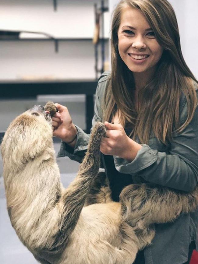 Cuddling a sloth.