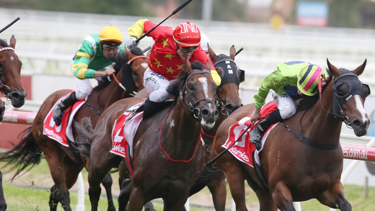 NSW Racing | Horse Racing News, Form Guides & Results | news.com.au ...