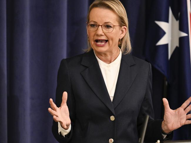 Opposition leader Sussan Ley says there are no scapegoats for the Liberals’ disastrous election result in her frontbench. Picture: NewsWire / Martin Ollman