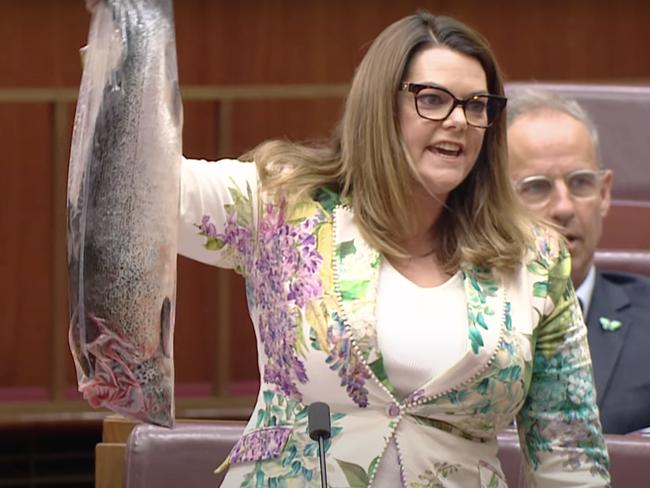 Senator Sarah Hanson-Young holds up dead salmon during senate proceedings