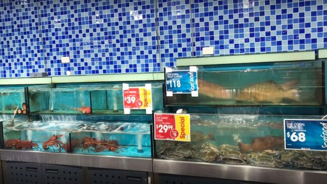 The live seafood section at Fresco Sunny Park.