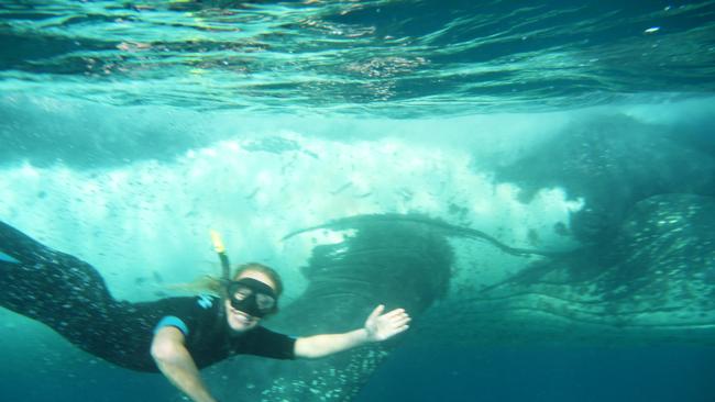 Maddison Hoffman was visited by a baby whale while snorkelling off the Palm Beach reef. Picture: Paul Hoffman