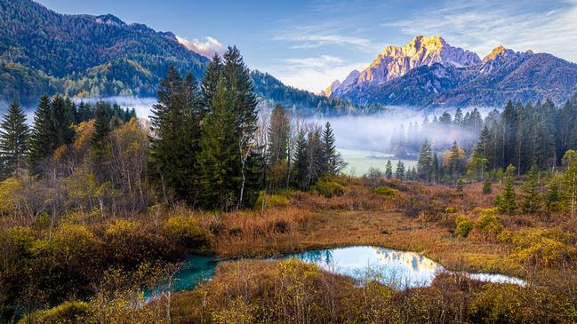 A late October morning at Zelenci Springs in Triglav National Park, Slovenia, showcases a foggy ‘breath’ of the wetland trees. Picture: Zsolt Varanka/IGPOTY