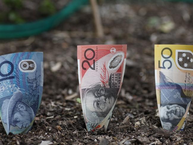 Australian note money planted in garden bed, superannuation, generic money dollars