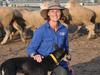Prime feedback giving sheep stud the edge