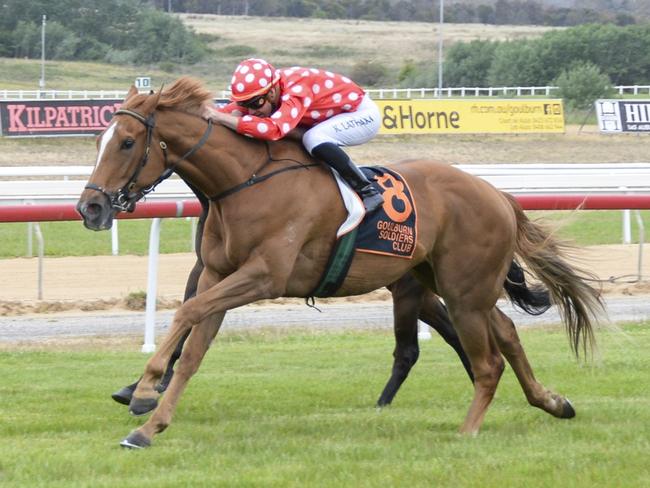 King Of Hearts is set to add to his strong record at Goulburn. Picture: Bradlkey Photos