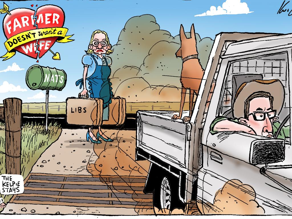 mark Knight cartoon on the coalition split