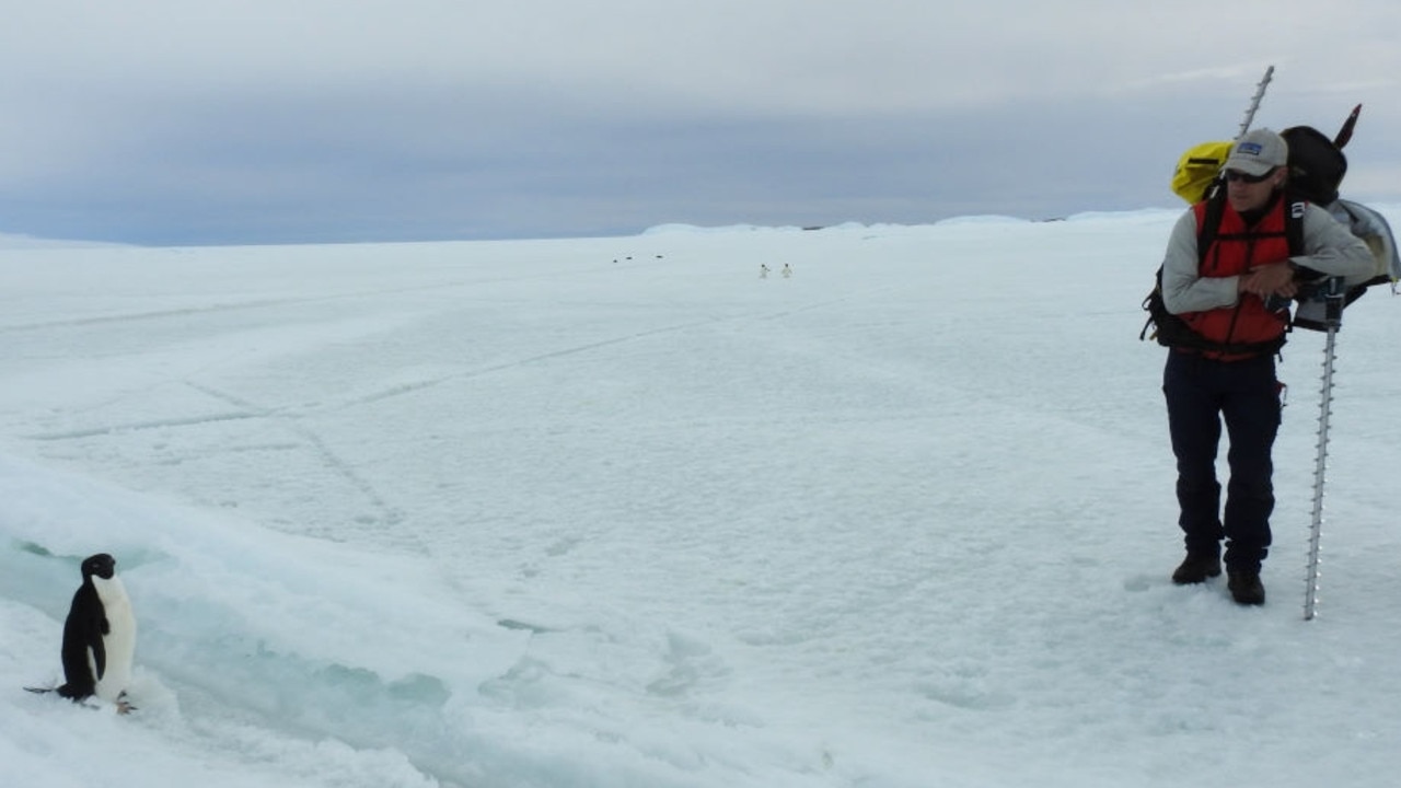 Mercury reporter David Killick's expedition to one of Antarctica's remotest outposts this summer. The five-person Mawson's Huts Foundation are carrying out vital conservation works at Cape Denison.