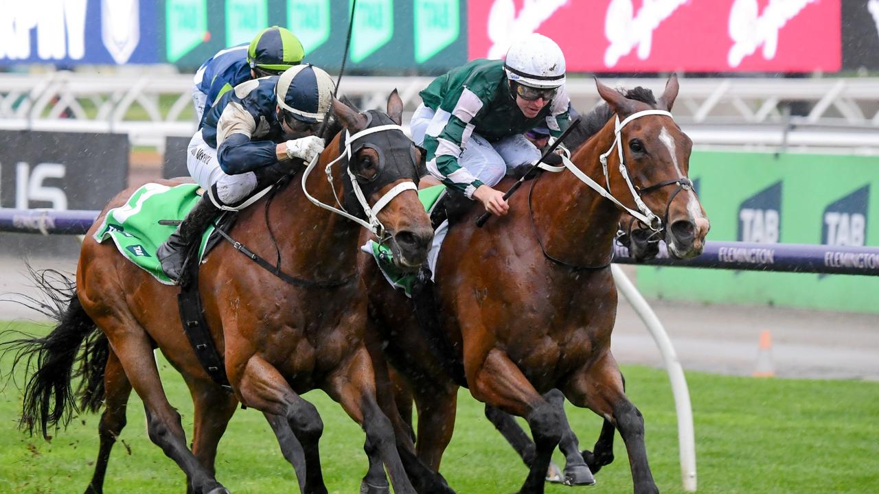 Buckaroo (left), second in the Turnbull Stakes behind Via Sistina, is back on top of Melbourne Cup markets with his stablemate unlikely to run. Picture: Racing Photos via Getty Images