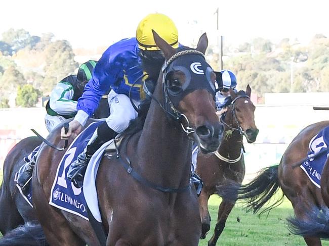 Who Dares ridden by Patrick Moloney wins the Hilton Nicholas Straight Six at Flemington Racecourse on May 18, 2024 in Flemington, Australia. (Photo by Brett Holburt/Racing Photos via Getty Images)