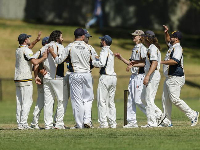 Main Ridge players celebrate a wicket. Picture: Valeriu Campan