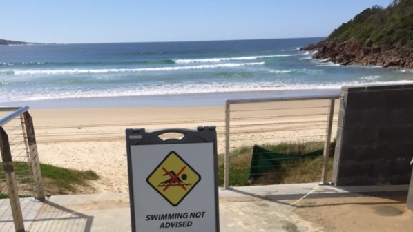 Beach closed after a whale was found dead, Port Stephens