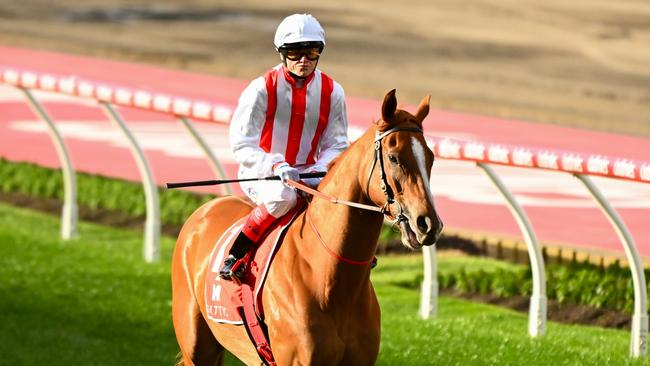 Giga Kick before running third in the McEwen Stakes.