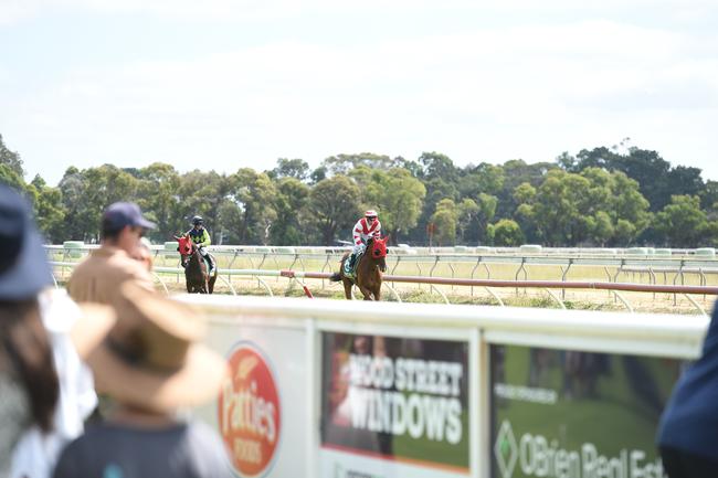 Bairnsdale Cup 2025. Picture: David Smith