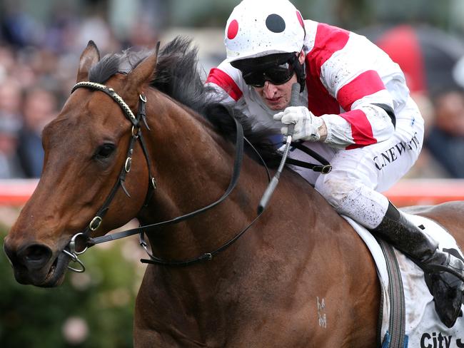 Jockey Craig Newitt and O'Malley salute on Cox Plate Day last year. Picture: Mark Dadswell