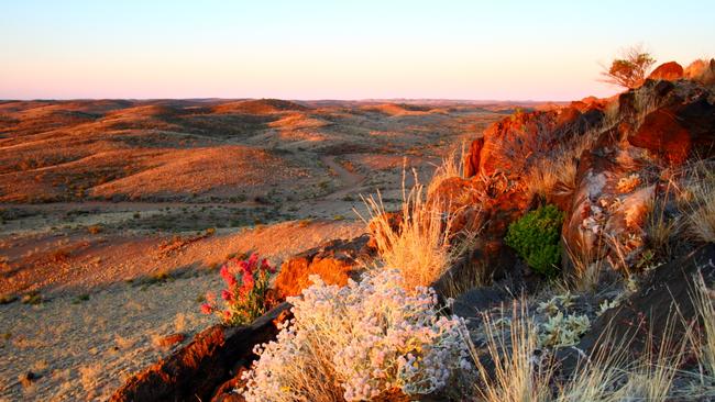 How would you feel about working remotely from the Outback for a week? Picture: Tim Phillips