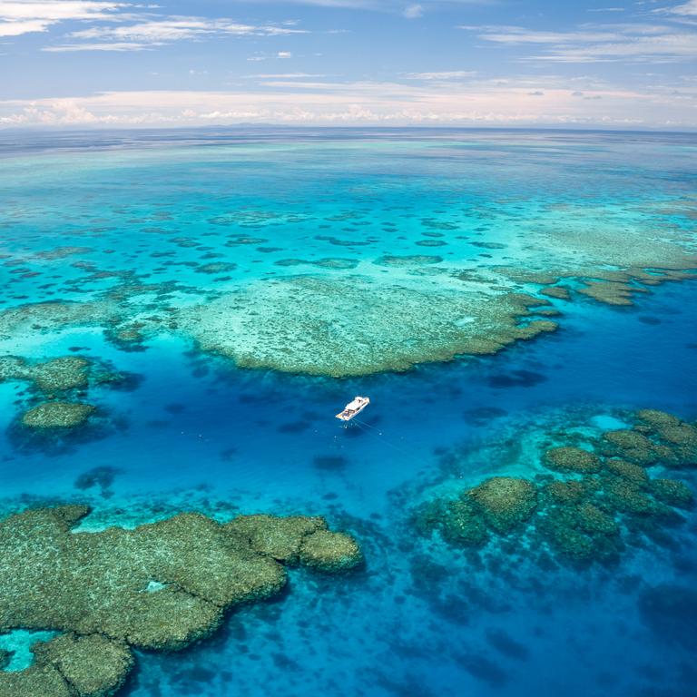 UN World Heritage Committee report could land Reef on danger list ...