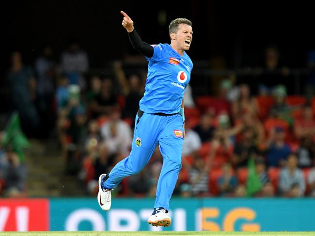 Strikers bowler Peter Siddle celebrates taking the wicket of the Stars’ Ben Dunk. Picture: Getty Images