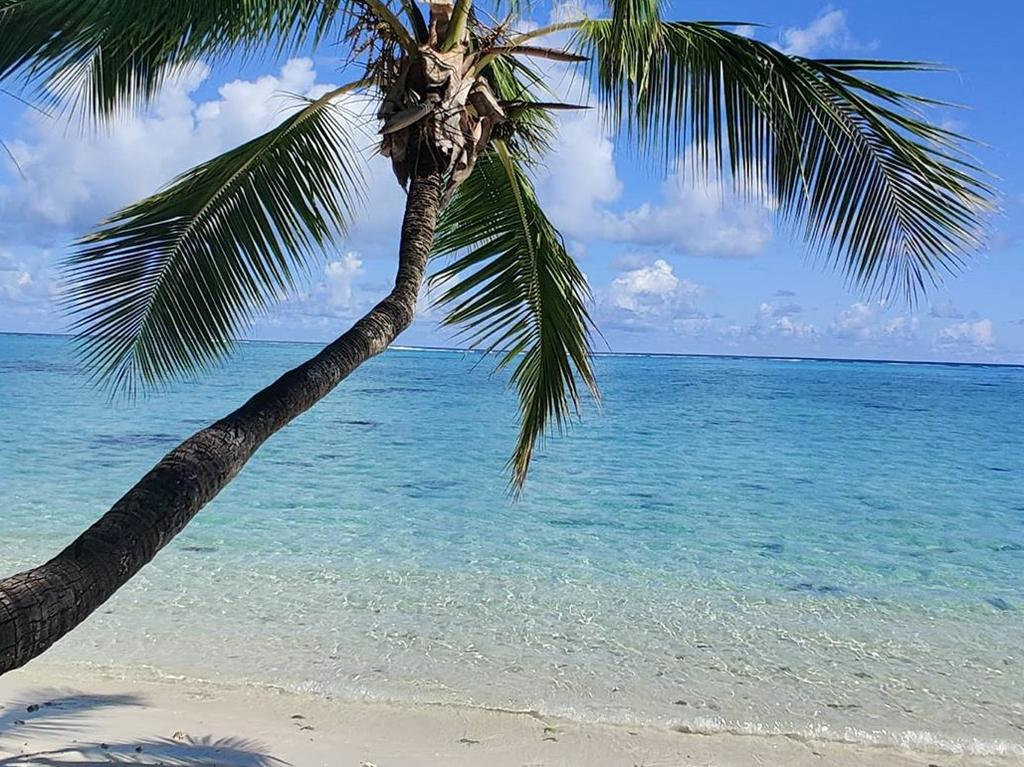 There are worse places you could be spending isolation.