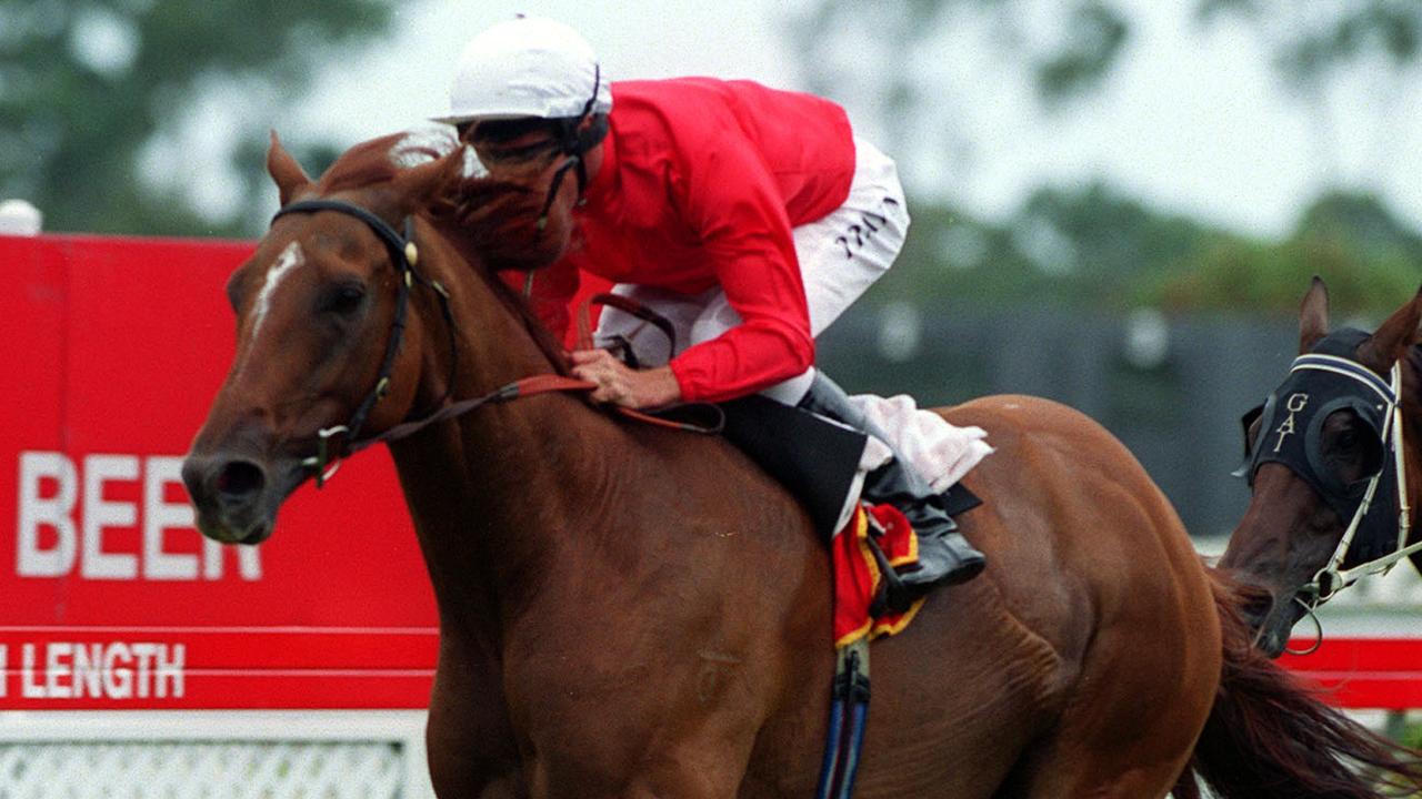 Racehorse Tie The Knot ridden by jockey Patrick (Paddy) Payne winning Race 5, Chipping Norton Stakes at Warwick Farm Racecourse, Warwick Farm, Sydney, 23/02/2002. Pic Pic Wally (Wal) Zytnik.