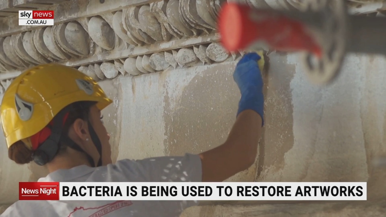 Bacteria being used to restore artworks in Italy