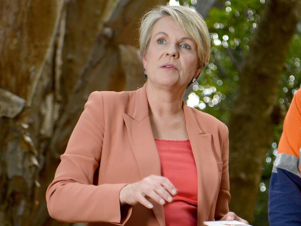 Environment Minister Tanya Plibersek signed off on an amended Lee Point development plan in June. Picture: Evan Morgan