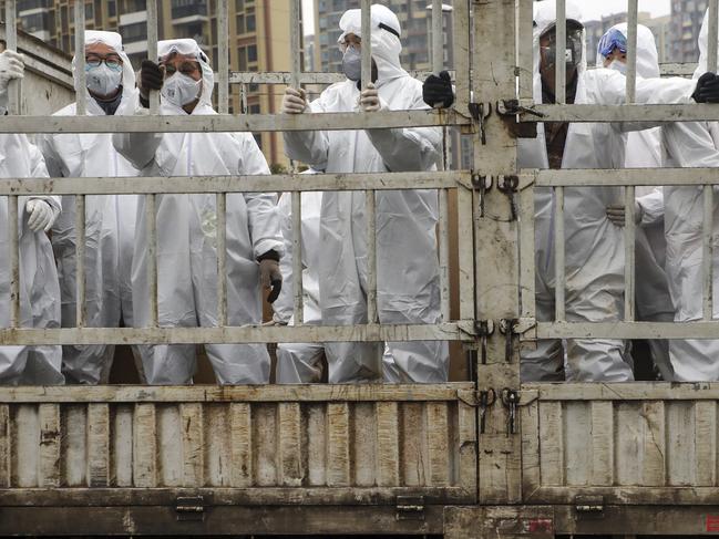 Workers in protective suits ride on a truck carrying medical supplies in Wuhan. Picture: AP